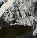 The Rockface